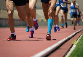 wp header logo17743500322126791753