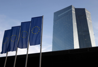 wp header logo17743536291515414460