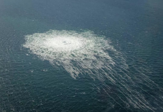 wp header logo17743608441246713121