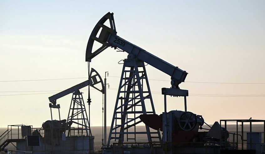 wp header logo17743752171056726778