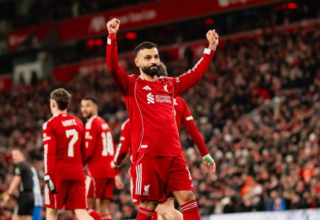 wp header logo17743824132032388902