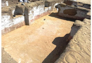 wp header logo1774400430670795434