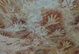 wp header logo17744112101151540290