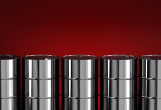 wp header logo17744220211812643235
