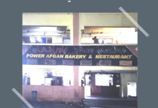 wp header logo17744364101743975327