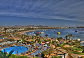 wp header logo17744364201841141330