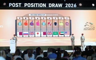 wp header logo17744472121281270080