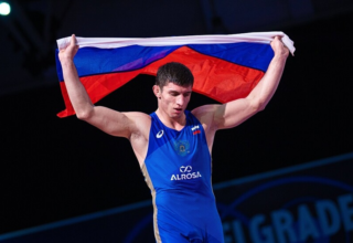 wp header logo17744472281756258534