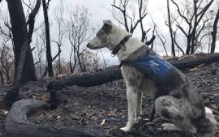 wp header logo1774450808973942707