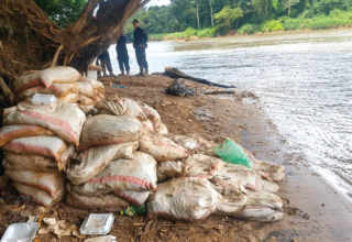 wp header logo1774486825441138975