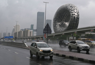 wp header logo17744868311482140187