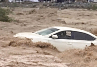 wp header logo1774486835367229843