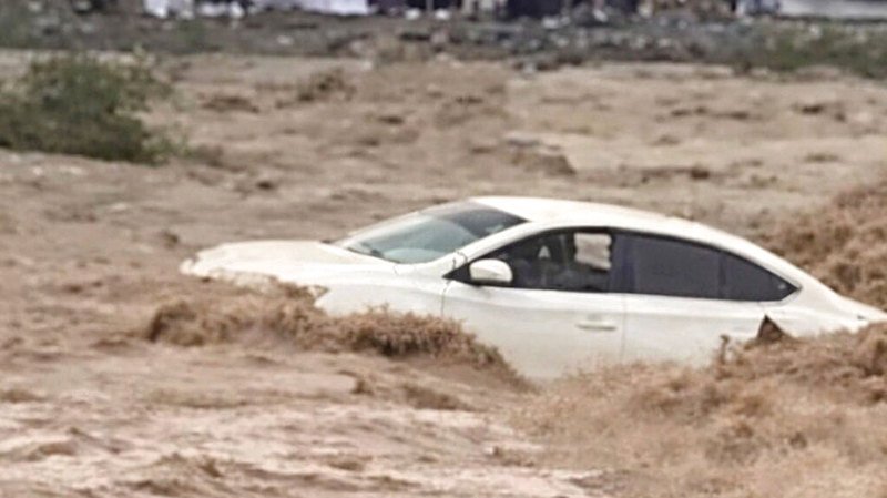 wp header logo1774486835367229843