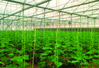 wp header logo17744976321171344393