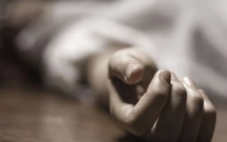 wp header logo17745084081987500087