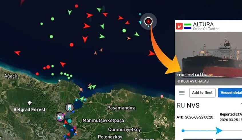 wp header logo1774508410115421053