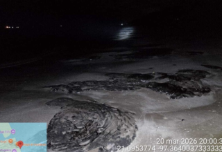 wp header logo17745120262036337266