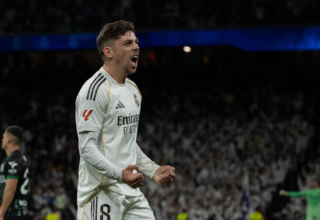 wp header logo1774519210979902790