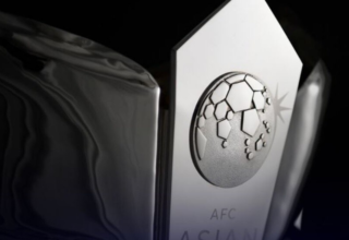 wp header logo1774519222544152484