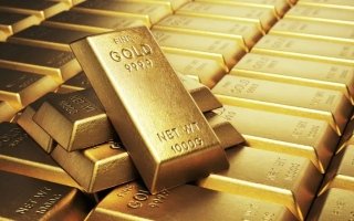 wp header logo1774522813352524016