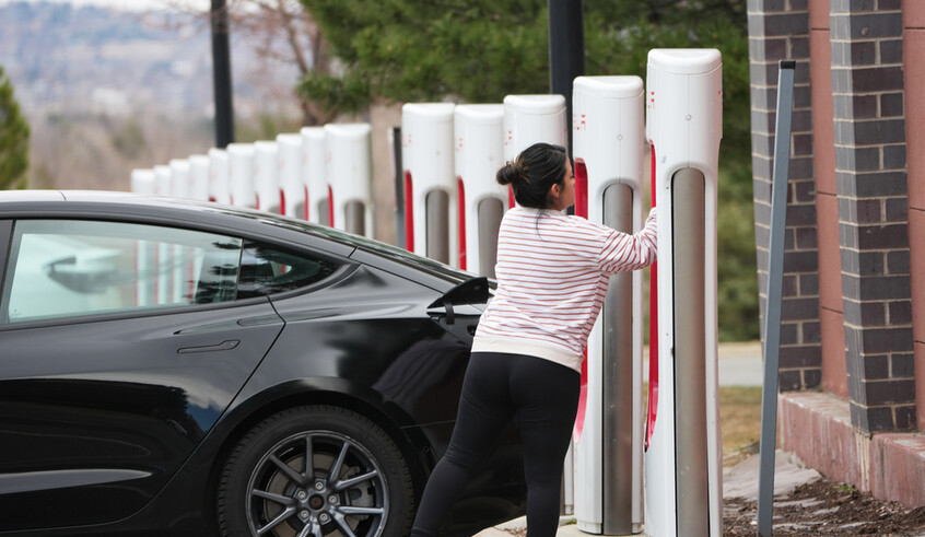 wp header logo1774522819287076140