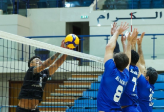 wp header logo177452645236401784