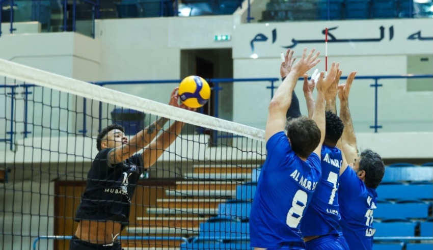 wp header logo177452645236401784