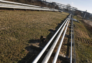 wp header logo17745300201588983626