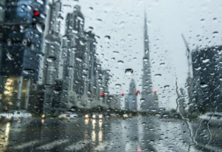 wp header logo1774533614939487945