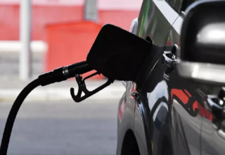 wp header logo1774548010603019480