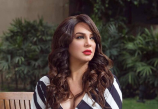 wp header logo17745516301600919927