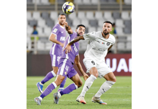 wp header logo1774573222201524148