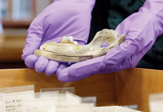 wp header logo17745732351685189317