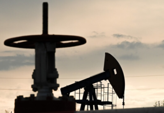 wp header logo1774591230424928042