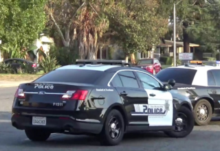 wp header logo1774594823535112571