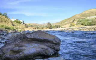 wp header logo17746056071867813902