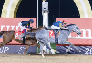 wp header logo17746524121199678403