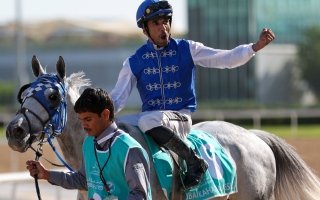 wp header logo17747028081704892765