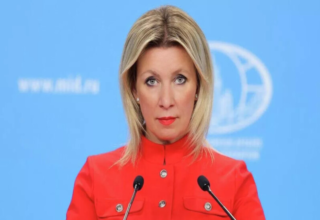 wp header logo177471722035901827