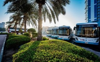 wp header logo17747316691736221919