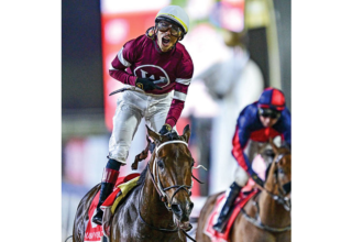 wp header logo17747424131466581828