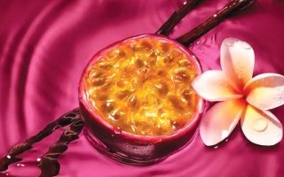 wp header logo17747460161183545738