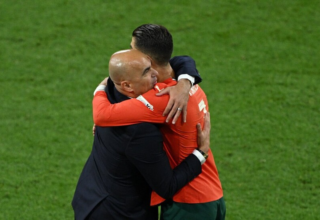 wp header logo17747676091770956285