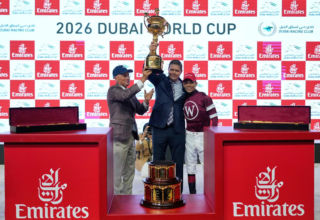 wp header logo17748000114347782