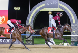 wp header logo1774800034766584913