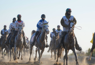 wp header logo1774810811762283451