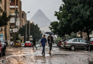 wp header logo17748144161222557484