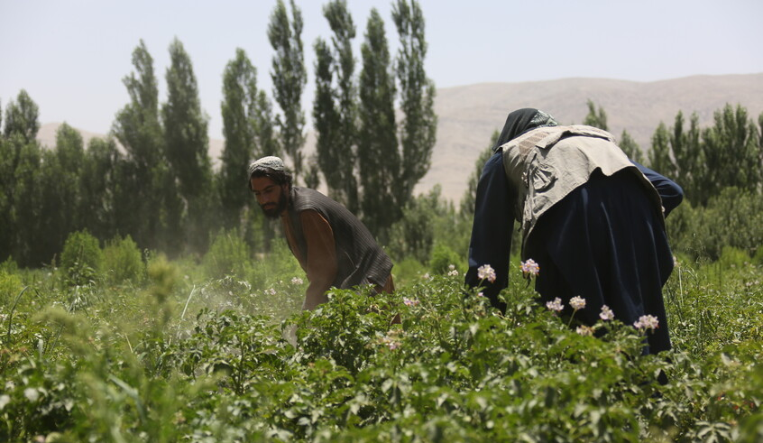 wp header logo1774825212409929746