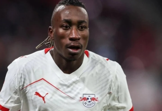 wp header logo17748396111847425356