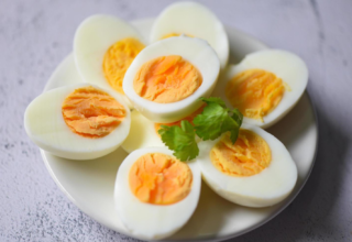 wp header logo17748432191014983184